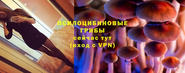 амф Аркадак