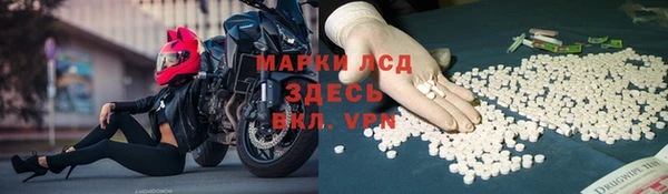 амф Аркадак